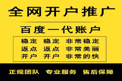 竞价推广策略：某电商平台的成功案例